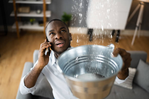 Best Water damage repair service  in Centerville, GA