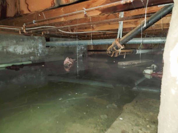 Sewage cleanup and water damage restoration in Centerville, GA