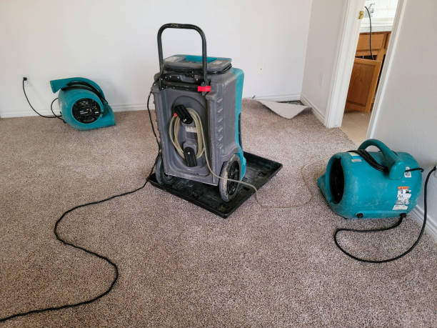 Best Basement water damage restoration  in Centerville, GA