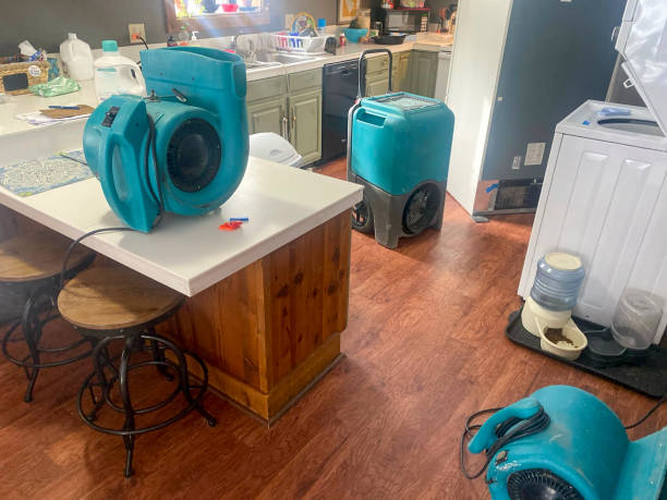 Best Water damage contractors near me  in Centerville, GA