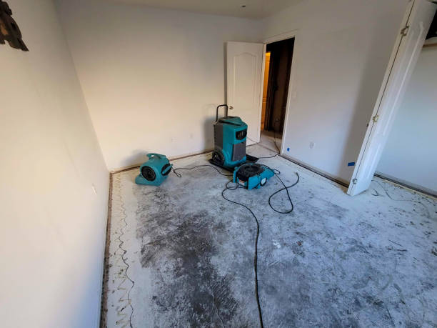 Best Commercial water damage restoration  in Centerville, GA