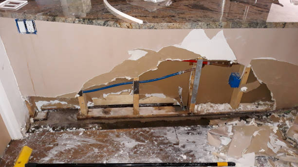 Best Mold removal after water damage  in Centerville, GA