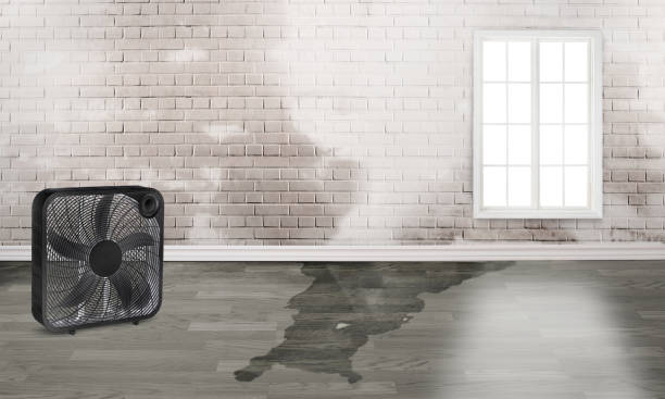 Best Water damage contractors near me  in Centerville, GA