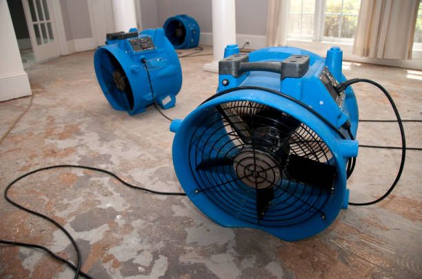 Best Sewage cleanup and water damage restoration  in Centerville, GA