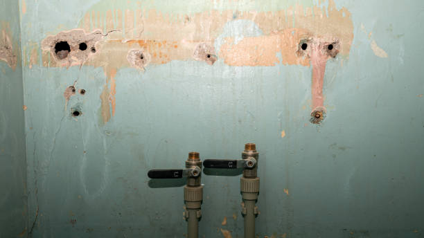 Best Water damage restoration specialists  in Centerville, GA