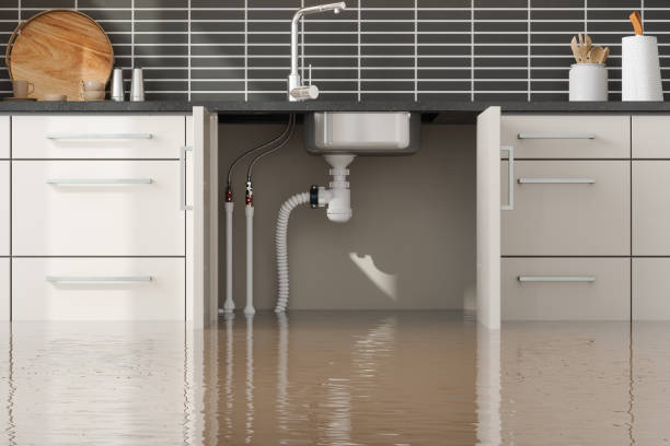 Best Local water damage restoration  in Centerville, GA