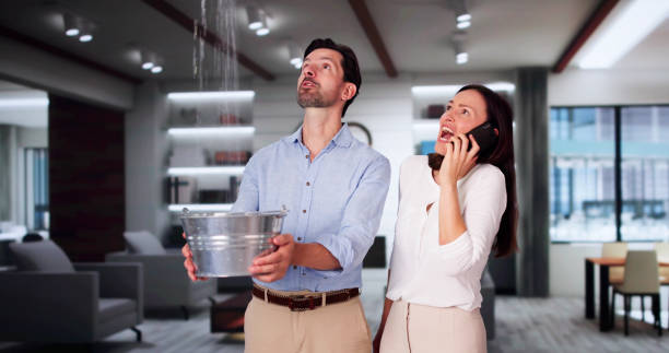 Best Professional water damage repair  in Centerville, GA